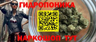 крисы Нягань
