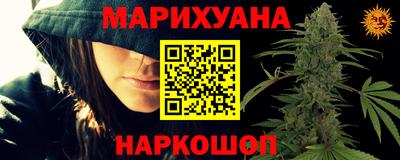 сатива Обнинск