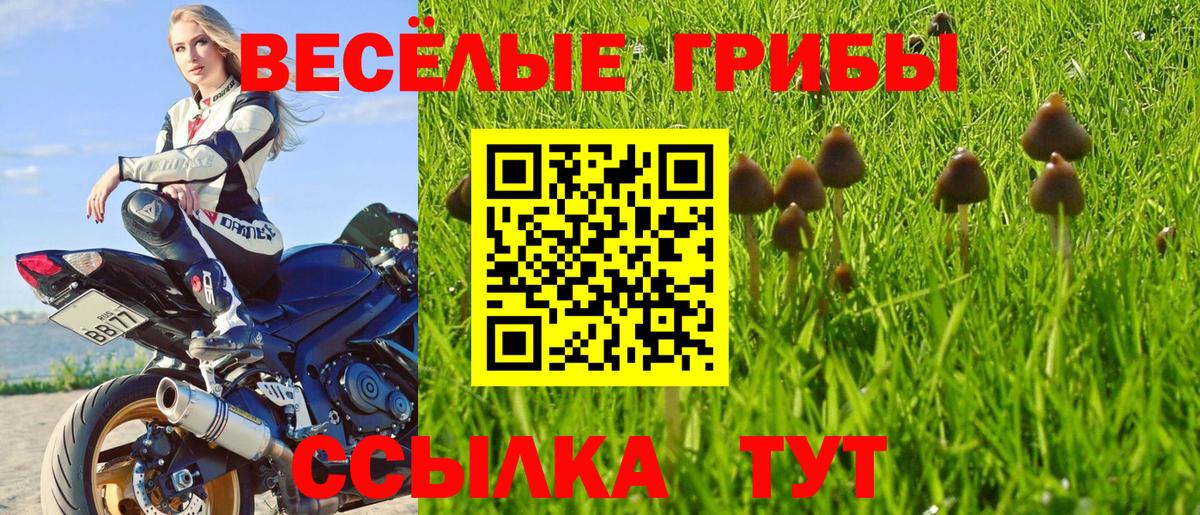 Родники  Псилоцибиновые грибы Psilocybine cubensis  Вход с VPN  Галлюциногенные грибы ЛСД 